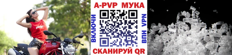 blacksprut зеркало  Гусиноозёрск  А ПВП СК КРИС 