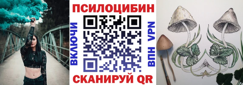 блэк спрут зеркало  купить закладку  Гусиноозёрск  Псилоцибиновые грибы Psilocybine cubensis 